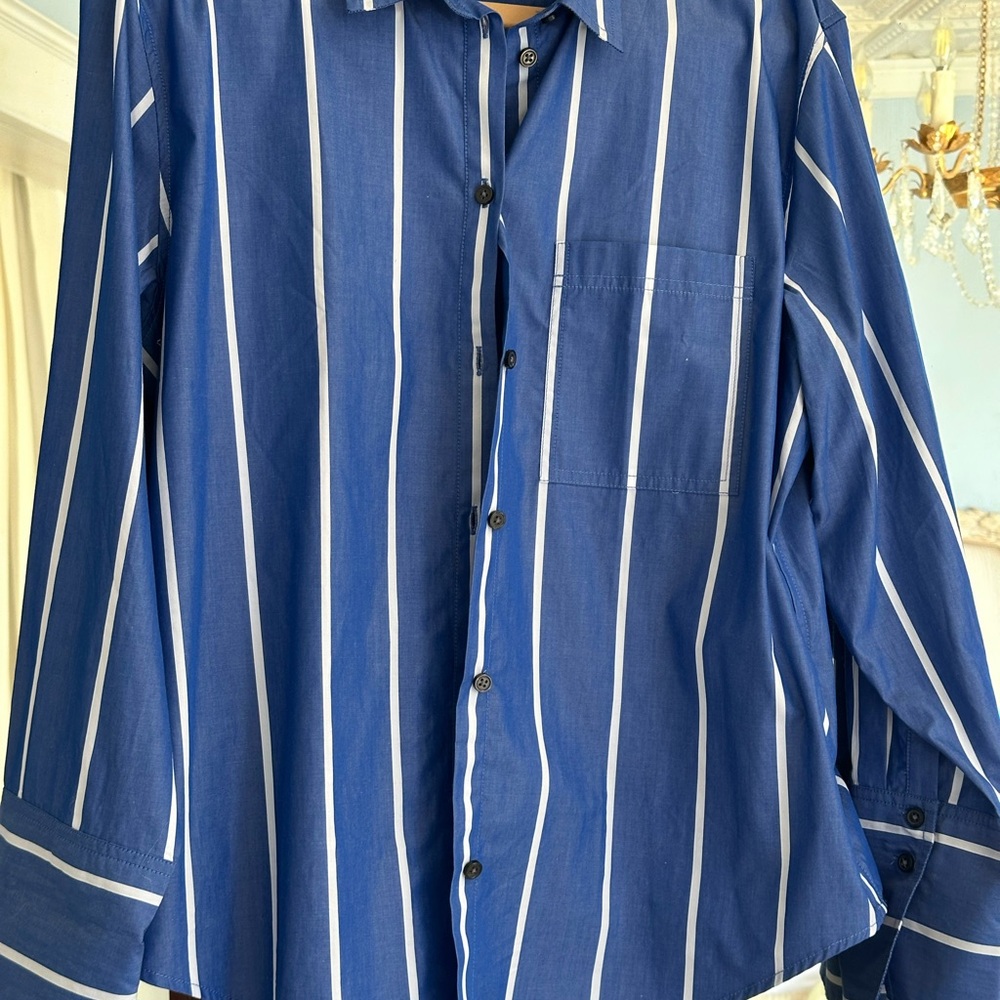 JCrew Blue Striped Womans Shirt size 14